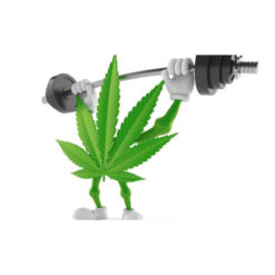 Does Cannabis Help Me Exercise?