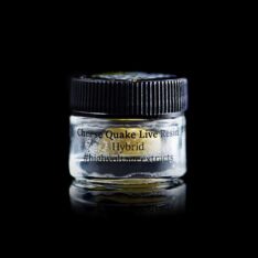 High Voltage Extracts HVE Live Resin Cheese Quake 2