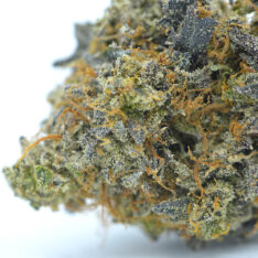 ACE TERPS: Platinum Kush Mints AAAA- *$350/Quarter Pound Deal*
