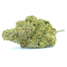ACE TERPS: Twizzla AAAA- - Image 2