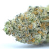 Cookies Grower: Animal Cookies x Girl Scout Cookies AAAA *Early 4/20 Sale* - 28 g
