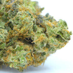 CG: Death Mint Cookies x Death Chocolate Mousse AAAA *30% OFF Early 4/20 Sale* - 28 g