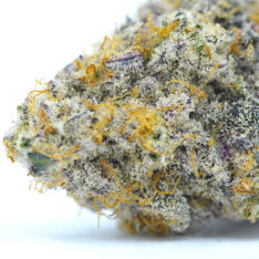 Cookies Grower: Mac 1 Cereal Milk AAAA *$99/ounce 4/20 Sale*