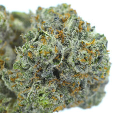 11 Weeks MMJ: Donkey Butter AAAA *$99/ounce 4/20 Sale*