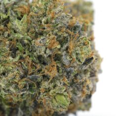 Bluefin Tuna AAAA- *$80/ounce 4/20 SPECIAL Limited Time Deal*