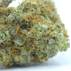 Hawaiian Dream AAA+ *Buy 1 Get 1 FREE*