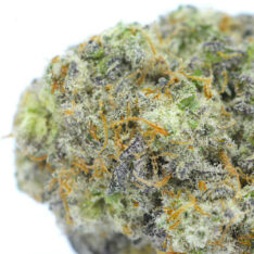 Cookies Grower: Mac 1 Cereal Milk AAAA *$99/ounce 4/20 Sale* (NEW BATCH) - 14 g