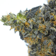 11 Weeks MMJ: Space Belts AAAA- - 28 g