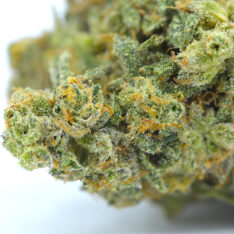 Cookies Grower: Death Mint Cookies (Organic) AAAA *NEW BATCH* - 28 g