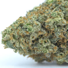 Cookies Grower: Earth Bind Cookies AAAA- *$90/Ounce WEEKEND ONLY SALE*
