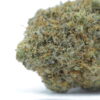 Cookies Grower: Mac 1 Cereal Milk AAAA *48 HOUR FLASH SALE*
