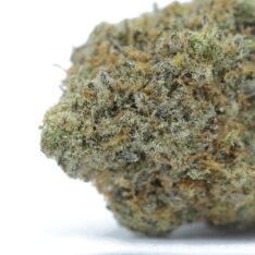 Cookies Grower: Mac 1 Cereal Milk AAAA *NEW BATCH*
