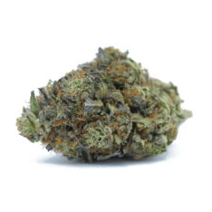 ACE TERPS: Rockstar x MK Ultra AAAA- - Image 2