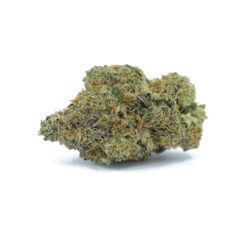 11 Weeks MMJ: King Bubba Cookies AAAA- - Image 2