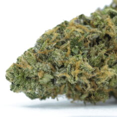 Mac Bubba AAAA-