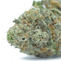 ACE TERPS: Blackberry AAAA- *$79/ounce THANKSGIVING SALE*
