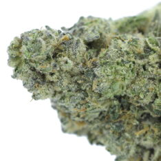 Chem Daddy Purp AAAA-