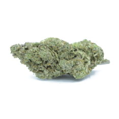 Chem Daddy Purp AAAA- - Image 2