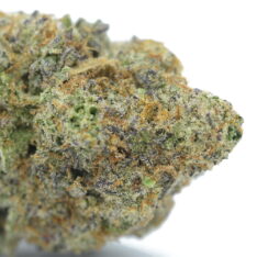 ACE TERPS: Mac 1 AAAA- *$79/ounce THANKSGIVING SALE*