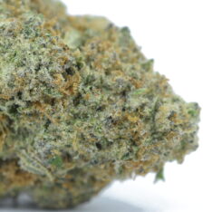 11 Weeks MMJ: Rockstar Punch AAAA - 28 g