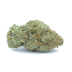 11 Weeks MMJ: Rockstar Punch AAAA - Image 2