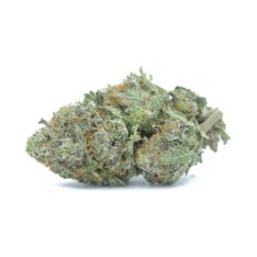 ACE TERPS: Blackberry AAAA- *$79/ounce THANKSGIVING SALE* - Image 2